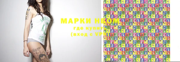 шишки Аркадак
