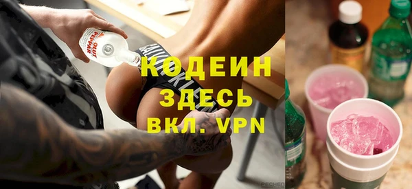 шишки Аркадак