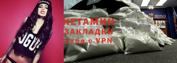 шишки Аркадак