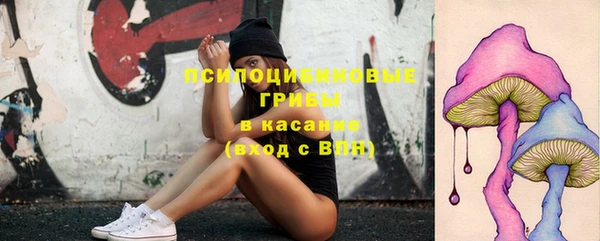 спайс Армянск