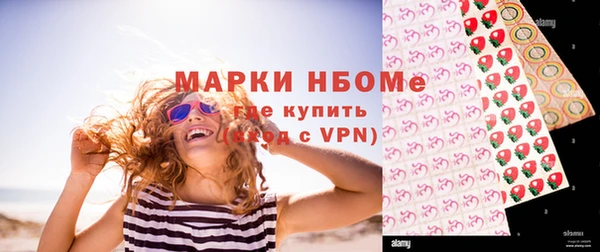 шишки Аркадак